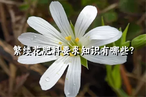 繁缕花肥料要求知识有哪些？