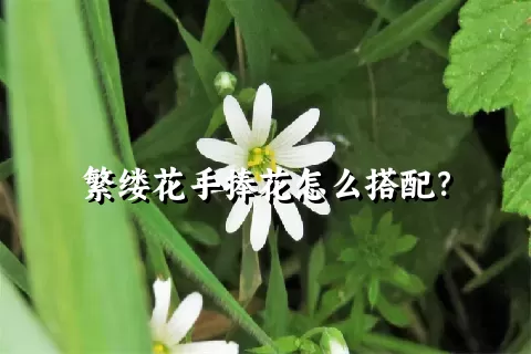 繁缕花手捧花怎么搭配？