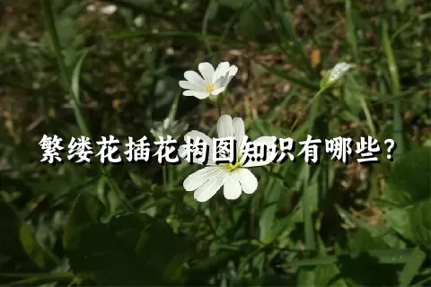 繁缕花插花构图知识有哪些？