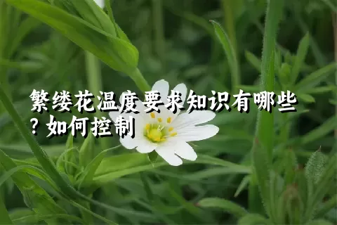 繁缕花温度要求知识有哪些？如何控制