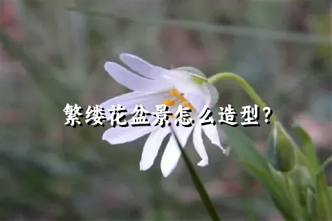 繁缕花盆景怎么造型？