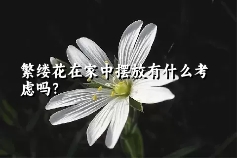 繁缕花在家中摆放有什么考虑吗？