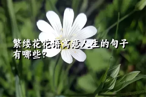 繁缕花花语寓意人生的句子有哪些？
