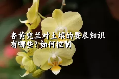 杏黄兜兰对土壤的要求知识有哪些？如何控制