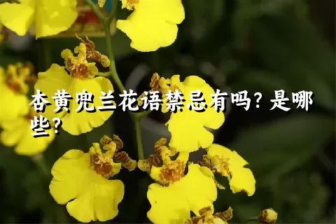 杏黄兜兰花语禁忌有吗？是哪些？