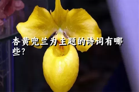 杏黄兜兰为主题的诗词有哪些？
