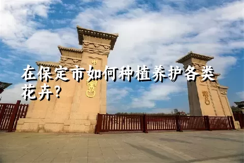 在保定市如何种植养护各类花卉？