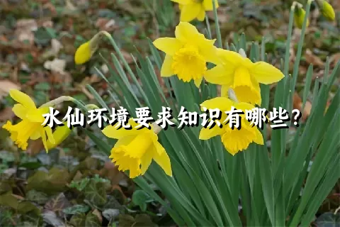 水仙环境要求知识有哪些？
