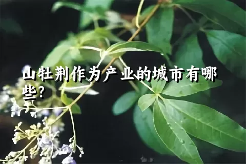 山牡荆作为产业的城市有哪些？
