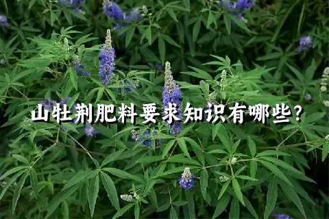 山牡荆肥料要求知识有哪些？