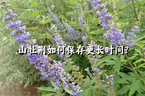山牡荆如何保存更长时间？