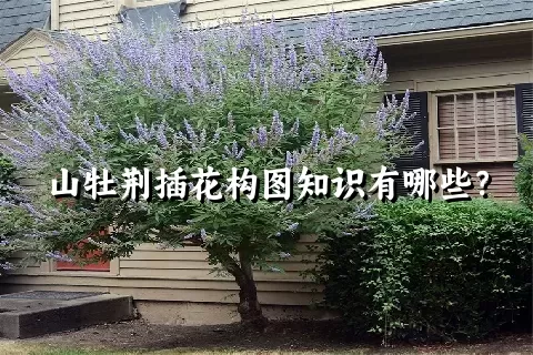山牡荆插花构图知识有哪些？