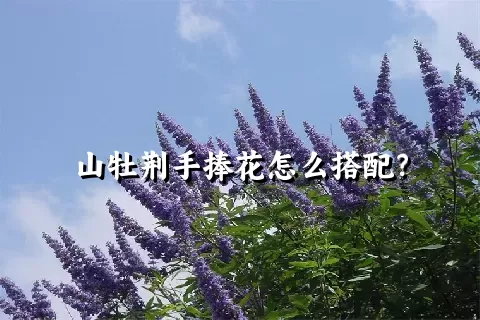 山牡荆手捧花怎么搭配？