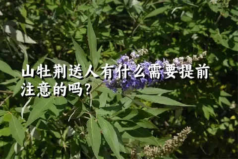山牡荆送人有什么需要提前注意的吗？