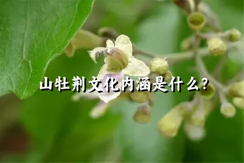 山牡荆文化内涵是什么？
