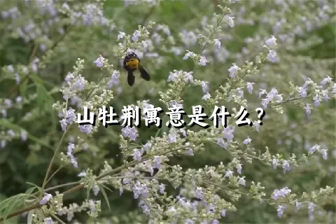 山牡荆寓意是什么？