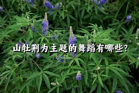 山牡荆为主题的舞蹈有哪些？