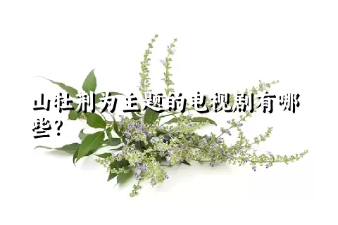 山牡荆为主题的电视剧有哪些？