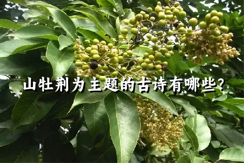 山牡荆为主题的古诗有哪些？