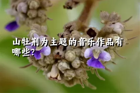 山牡荆为主题的音乐作品有哪些？
