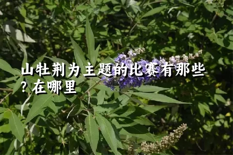 山牡荆为主题的比赛有那些？在哪里