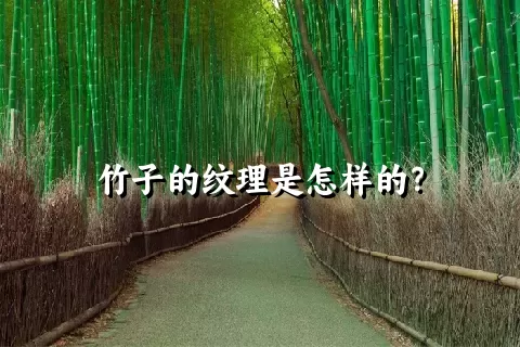 竹子的纹理是怎样的？