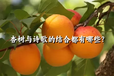 杏树与诗歌的结合都有哪些？
