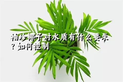 袖珍椰子对水质有什么要求？如何控制