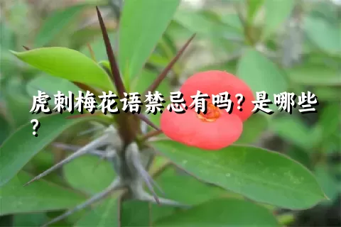 虎刺梅花语禁忌有吗？是哪些？