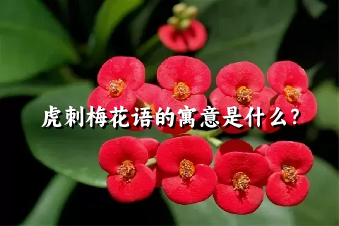 虎刺梅花语的寓意是什么？