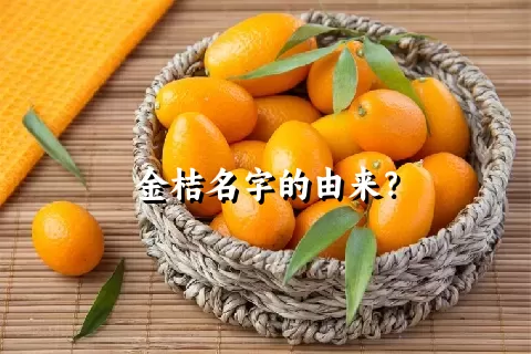 金桔名字的由来？