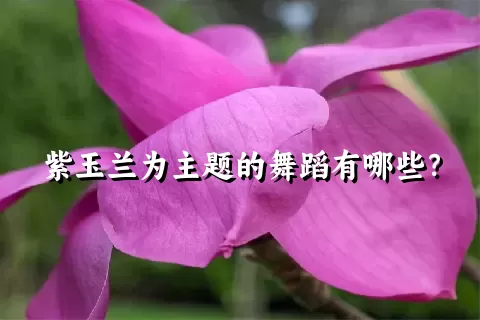 紫玉兰为主题的舞蹈有哪些？