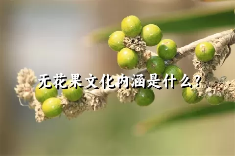 无花果文化内涵是什么？