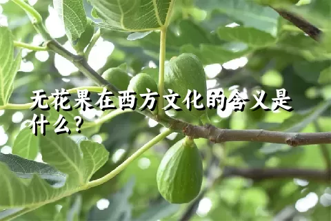 无花果在西方文化的含义是什么？