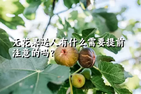 无花果送人有什么需要提前注意的吗？