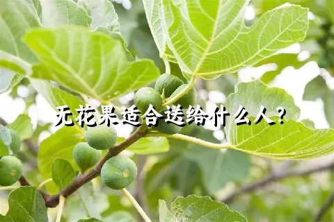 无花果适合送给什么人？