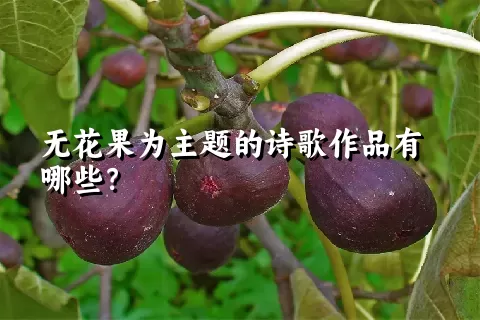 无花果为主题的诗歌作品有哪些？