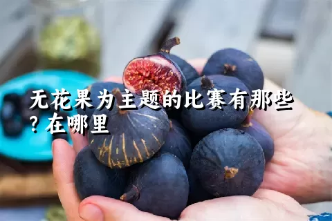 无花果为主题的比赛有那些？在哪里