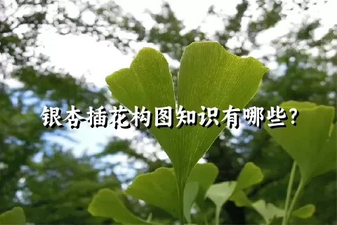 银杏插花构图知识有哪些？