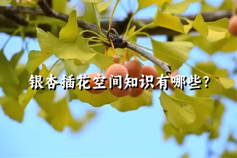 银杏插花空间知识有哪些？