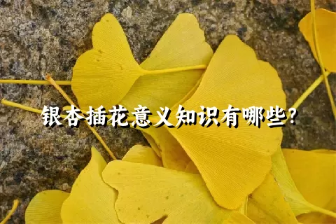 银杏插花意义知识有哪些？