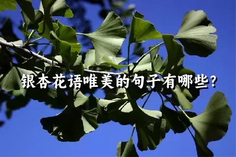 银杏花语唯美的句子有哪些？