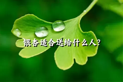 银杏适合送给什么人？