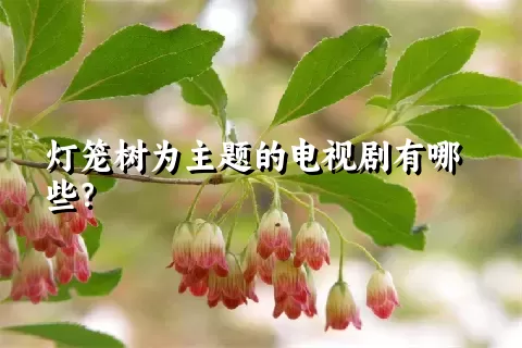 灯笼树为主题的电视剧有哪些？