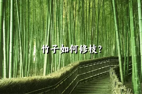 竹子如何修枝？