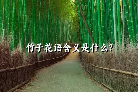 竹子花语含义是什么？