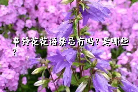 串铃花花语禁忌有吗？是哪些？