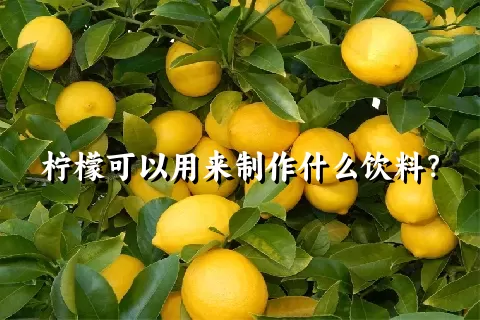 柠檬可以用来制作什么饮料？