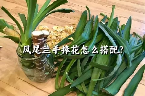 凤尾兰手捧花怎么搭配？