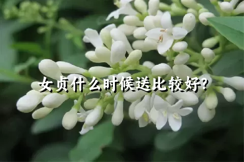 女贞什么时候送比较好？